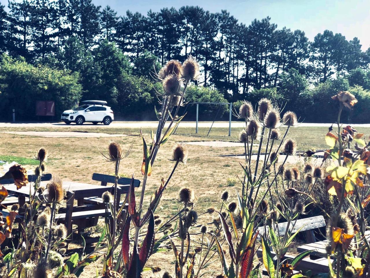 Danhostel Ishoj Strand Eksteriør bilde